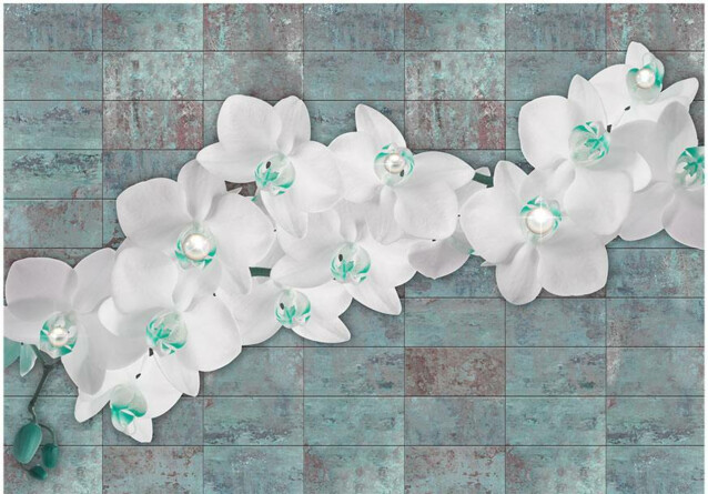 Kuvatapetti Artgeist Orchids with pearls eri kokoja