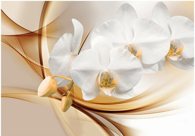 Kuvatapetti Artgeist Orchid blossom eri kokoja