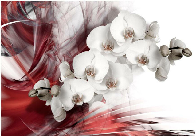 Kuvatapetti Artgeist Orchid in red eri kokoja