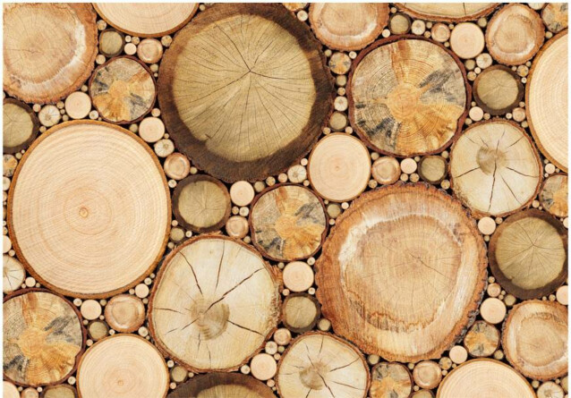 Kuvatapetti Artgeist Wood grains eri kokoja
