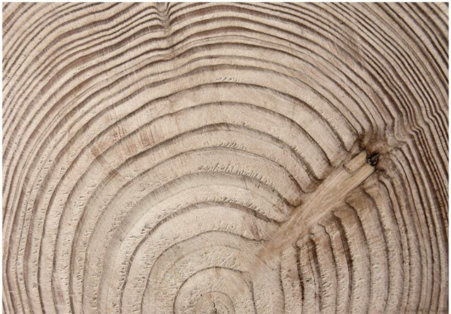 Kuvatapetti Artgeist Wood grain eri kokoja