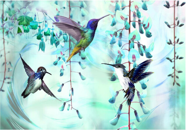 Kuvatapetti Artgeist Flying Hummingbirds Green eri kokoja