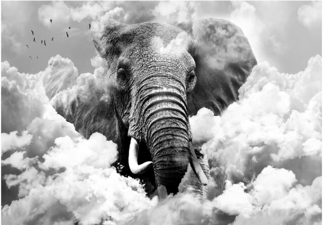 Kuvatapetti Artgeist Elephant in the Clouds Black and White eri kokoja