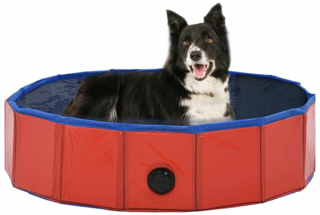 Kokoontaitettava koiran uima-allas, punainen, 80x20cm