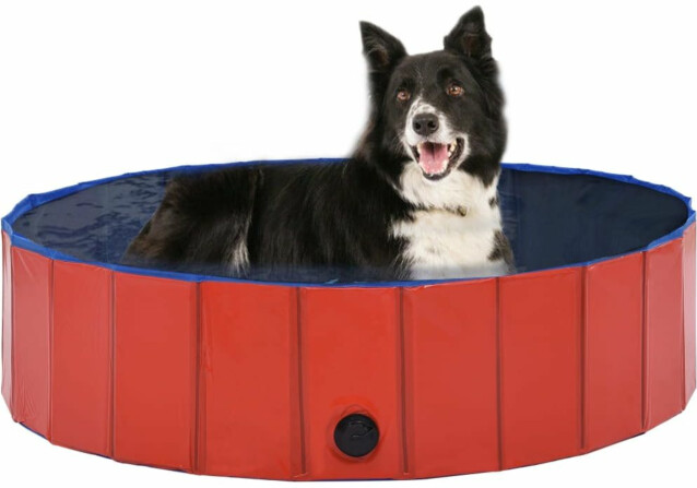 Kokoontaitettava koiran uima-allas, punainen, 120x30cm