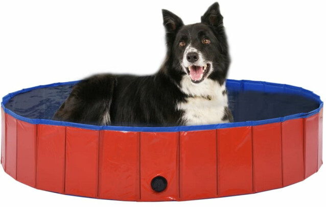Kokoontaitettava koiran uima-allas, punainen, 160x30cm