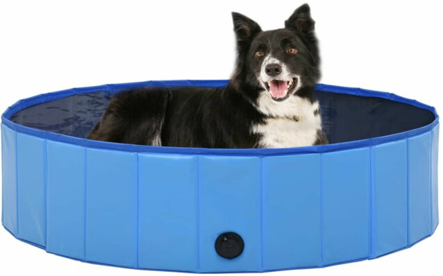 Kokoontaitettava koiran uima-allas, sininen, 120x30cm
