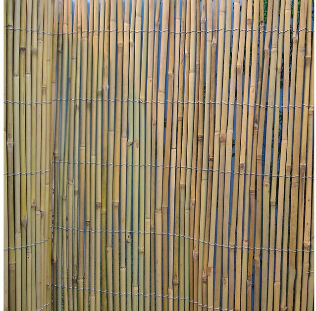 Bambuaita Home4you In Garden 150x500 cm