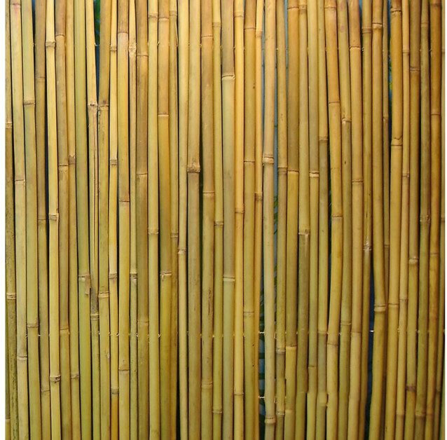 Bambuaita Home4you In Garden 150x300 cm