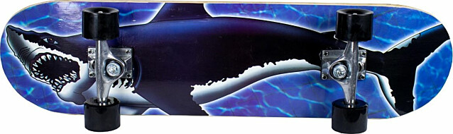 Rullalauta Sandbar Shark 31X8