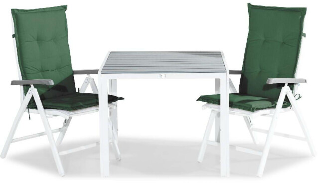 Ruokailuryhmä Tunis 2 Monaco Lyx tuolia + vihreät pehmusteet harmaa