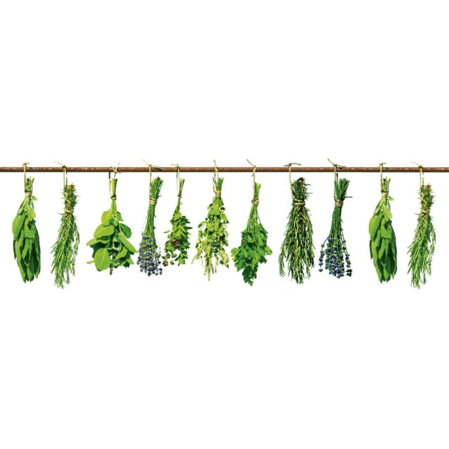 Välitilatarra Dimex Herbs 180-350x60cm