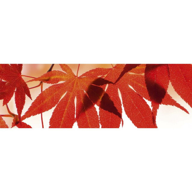 Välitilatarra Dimex Red Leaves 180-350x60cm