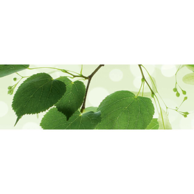 Välitilatarra Dimex Green Leaves 180-350x60cm