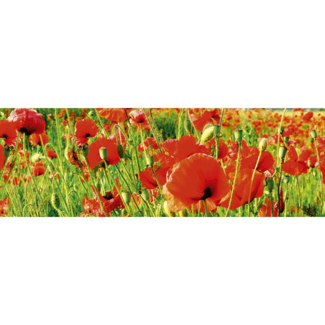 Välitilatarra Dimex Red Poppies 180-350x60cm