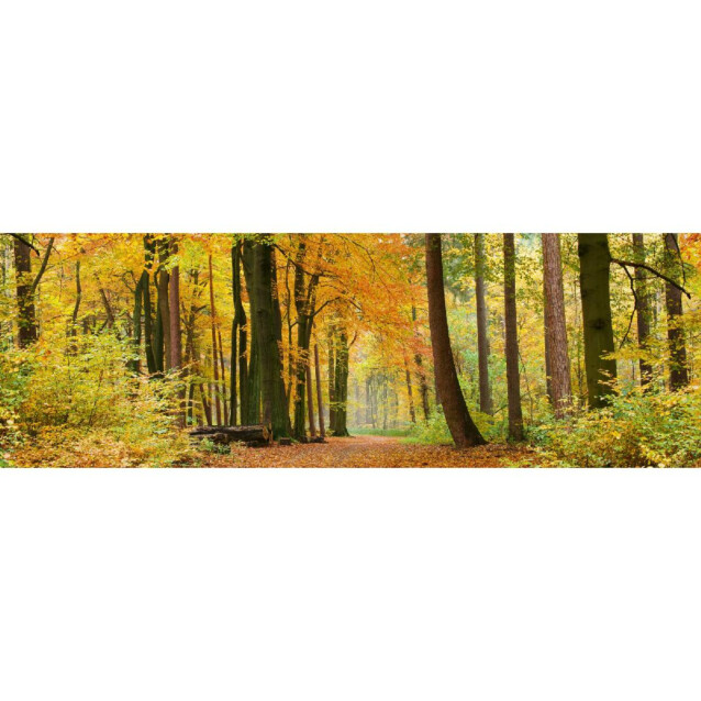 Välitilatarra Dimex Autumn Forest 180-350x60cm