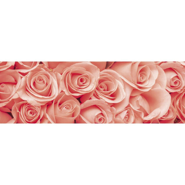 Välitilatarra Dimex Roses 180-350x60cm