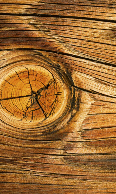 Kuvatapetti Dimex  Wood Knot 150 x 250 cm
