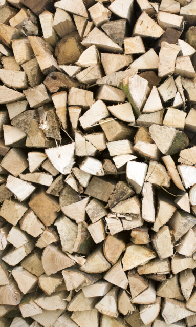 Kuvatapetti Dimex  Timber Logs 150 x 250 cm