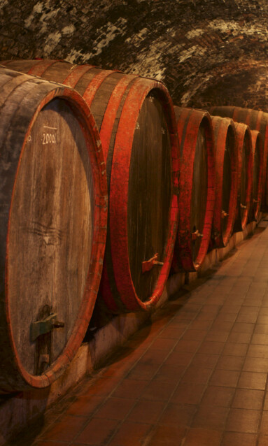 Kuvatapetti Dimex  Wine Barrels 150 x 250 cm