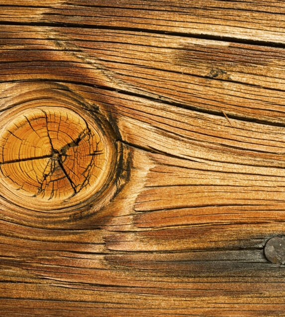 Kuvatapetti Dimex  Wood Knot 225 x 250 cm