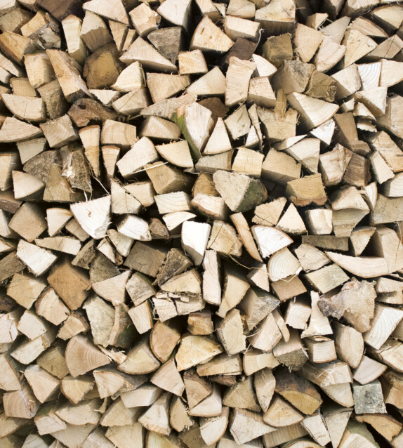Kuvatapetti Dimex  Timber Logs 225 x 250 cm