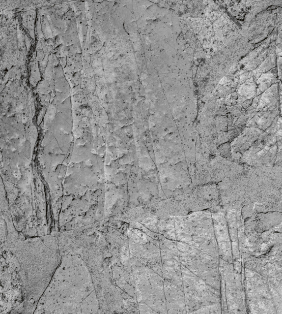 Kuvatapetti Dimex  Wall Concrete 225 x 250 cm