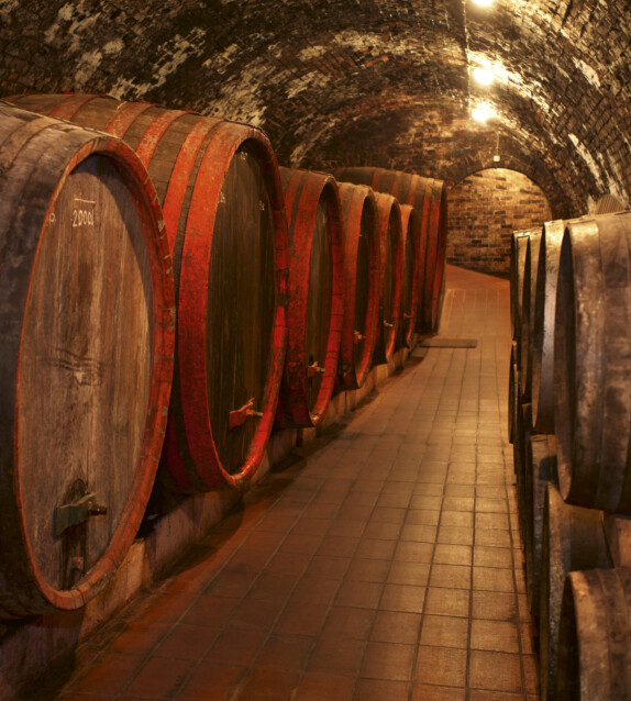 Kuvatapetti Dimex  Wine Barrels 225 x 250 cm