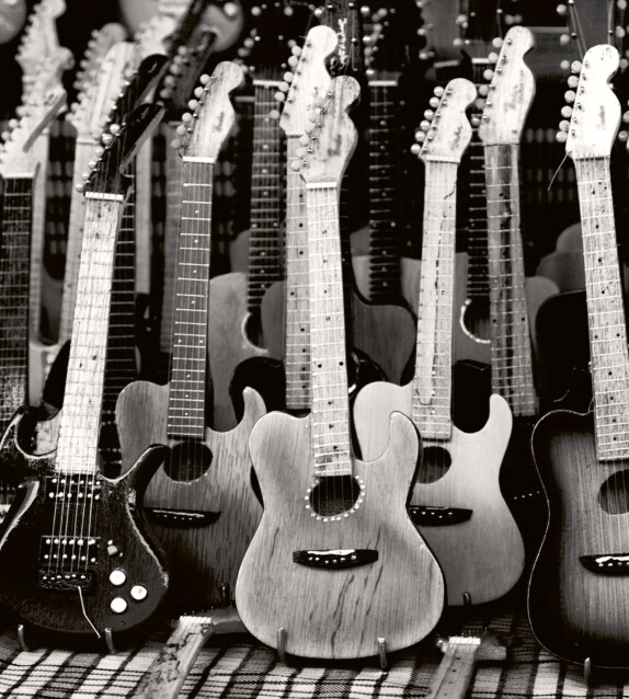 Kuvatapetti Dimex  Guitars Collection 225 x 250 cm