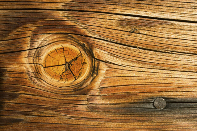 Kuvatapetti Dimex  Wood Knot 375 x 250 cm
