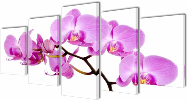 Taulusarja orkidea 100 x 50 cm_1