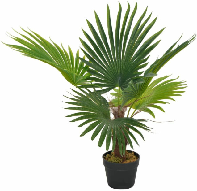 Tekokasvi palmu ruukulla vihreä 70 cm_1