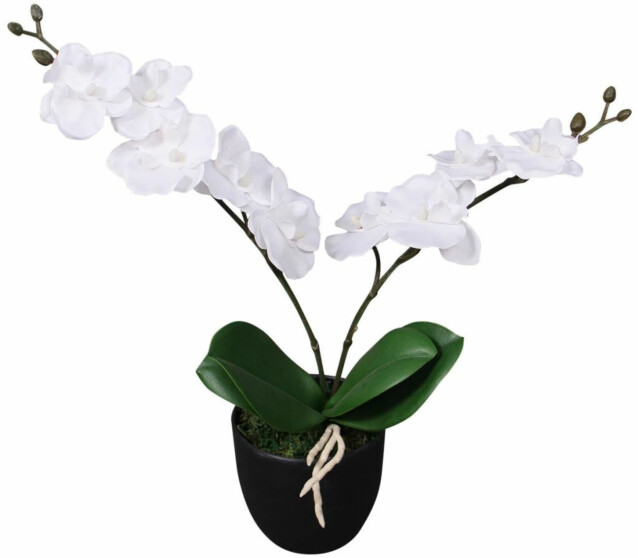 Tekokukka ruukulla orkidea 30 cm valkoinen_1