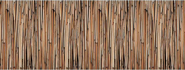 Valokuvatapetti Quattro Bamboo 8-osainen 372x280 cm