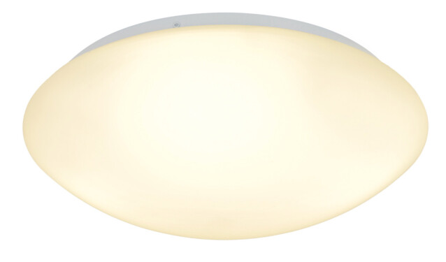 LED-plafondi Heat Plate led IP44 12w 30cm valkoinen