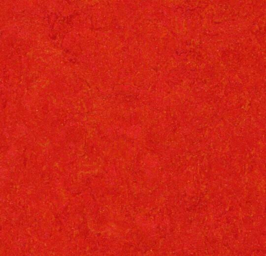 Linoleumilaatta Forbo Marmoleum Click Scarlet 30x30 cm punainen