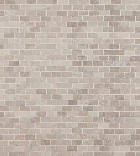 Mosaiikkilaatta Qualitystone Brick Mini White 20x40 mm