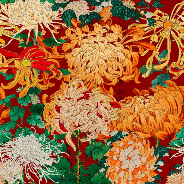 Paneelitapetti Mindthegap Chrysanthemums 1,56x3 m punainen