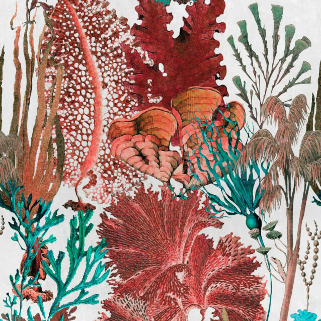 Paneelitapetti Mindthegap Coral reef 1,56x3 m punainen