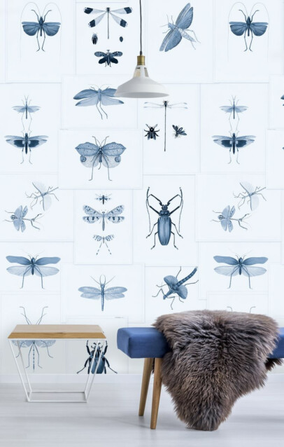 Paneelitapetti Mindthegap Entomology Blue 1,56x3 m
