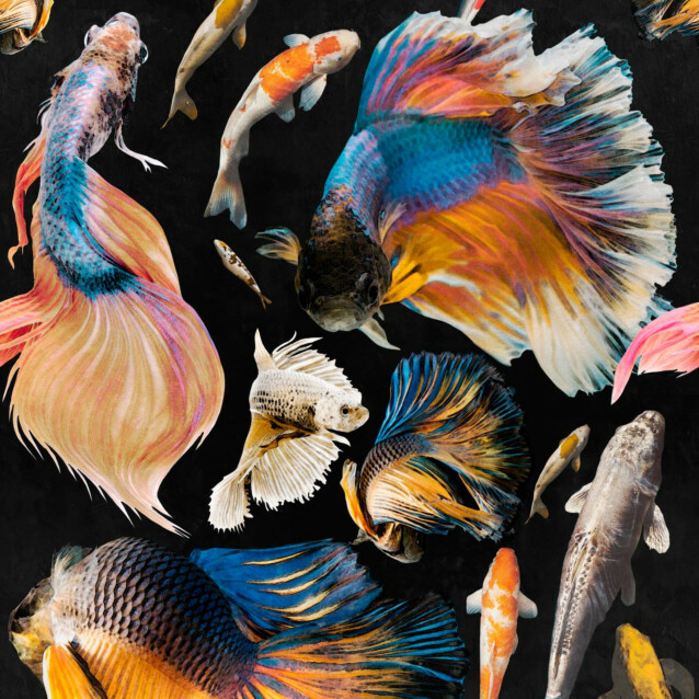Paneelitapetti Mindthegap Goldfish 1,56x3 m musta