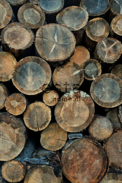 Paneelitapetti PhotowallXL Wood Logs 158206 1860x2790 mm ruskea