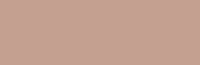 Seinälaatta Pukkila Pro Technic Color Soft Brown kiiltävä sileä 297x97 mm