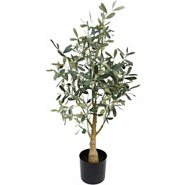Tekokasvi AmandaB Collection oliivipuu eri kokoja