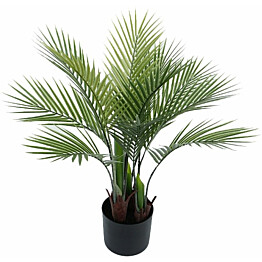 Tekokasvi AmandaB Collection palmu eri kokoja