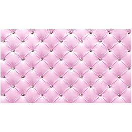Sisustustarra Artgeist Pink Elegance 280x490cm