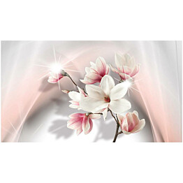 Kuvatapetti Artgeist White Magnolias II 500x280cm