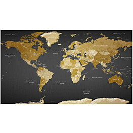 Sisustustarra Artgeist World Map: Modern Geography II 280x490cm