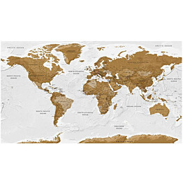 Sisustustarra Artgeist World Map: White Oceans II 280x490cm