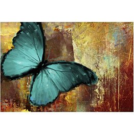 Kuvatapetti Artgeist Painted butterfly 270x400cm